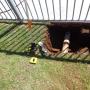 Pipe
