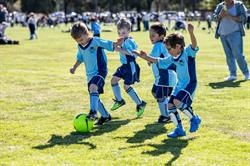 Orange Waratahs Football Club