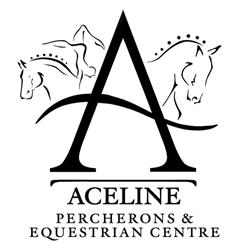 Kamilaroi Equestrian
