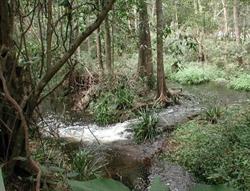 Save Our Waterways Now