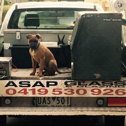 ASAP Glass and Glazing