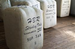 Stanley Vale Merinos