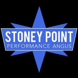 Stoney Point Performance Angus