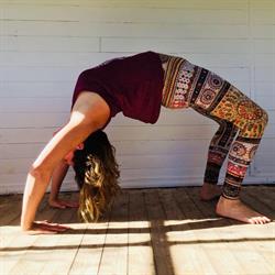 Studio 5 Mona Vale - Massage and Yoga