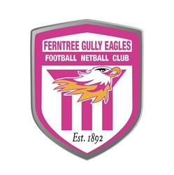 Ferntree Gully Eagles Football and Netball Club - Junior Division