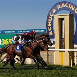 Kym Hann Racing