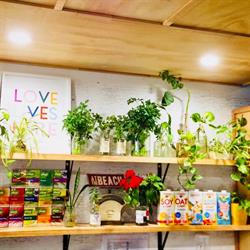 The Shop Coolum
