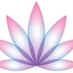 Blossom Organic Hair Beauty Wellbeing