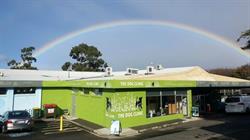 The Dog Clinic Hobart - Veterinary care exclusively for dogs
