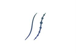 Hawkesbury Sport and Spine