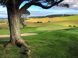Golf Mind Play
