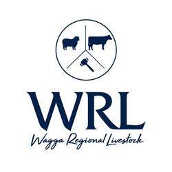 Wagga Regional Livestock