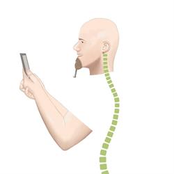 Bodypractic Health Care