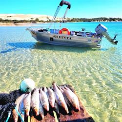 Ceduna Boat Hire