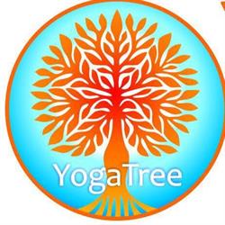 Yoga Tree Stanthorpe