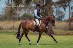 Bruce Ross Equine Services
