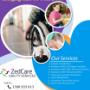 Bringing Care