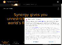 Synergy Markets