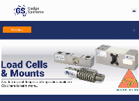 Gedge Systems's website