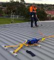 Roof Cleaning
