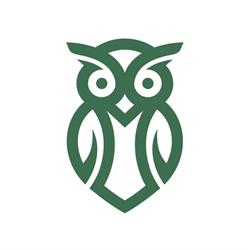 Digital Elder