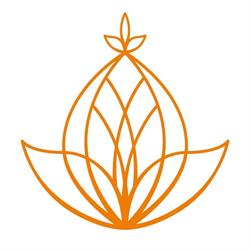 Avante Australia Pty Ltd