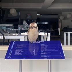 Town Green Buffet and Bar
