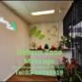 Head and Shoulder Massage in Blackburn Vic