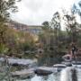 Carnarvon Gorge