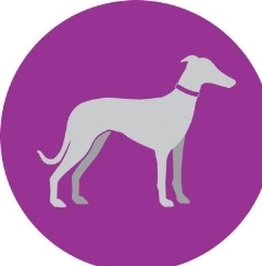 Greyhounds As Pets