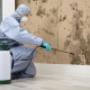 Pest Control Cranbourne