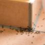 Pest Control Cranbourne
