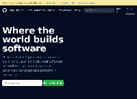 ralu test with website