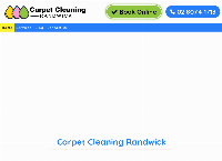 Carpet Cleaning Randwick