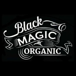 Black Magic Organic