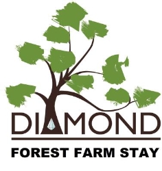 Diamond Forest Farm Stay