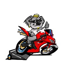 Bike Starters