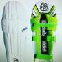 Big Dog Batting Pads