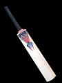 AV Advantage English Willow Cricket Bat
