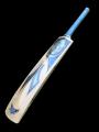 AV English Willow Cricket Bat