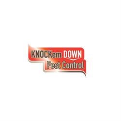 Knockem Down Pest Control