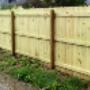 Fencing Guys