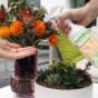 Ecovio Hand Sanitiser