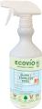Glass & Stainless Steel Cleaner 750ml Spray