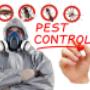Pest Control Central Coast