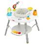 Skip Hop Explore and More Activity Centre