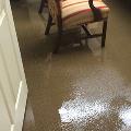 Flooded Carpet Cleaning Services