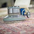 Rug Cleaning Services