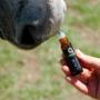 Horse Stress Reduction Oil