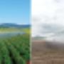 Irrigation equipment supplier